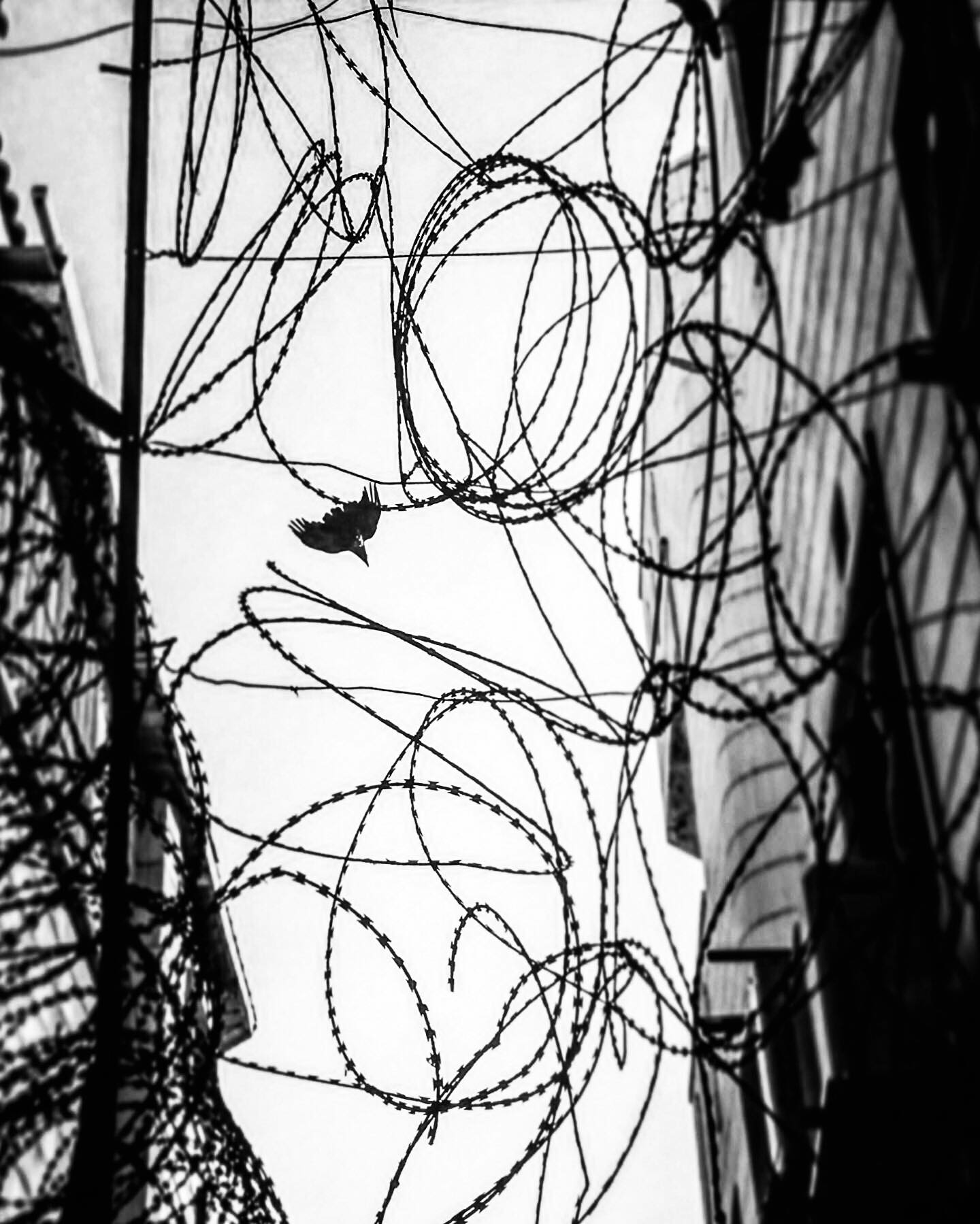 78833469_628102851330466_6206591522155003904_n